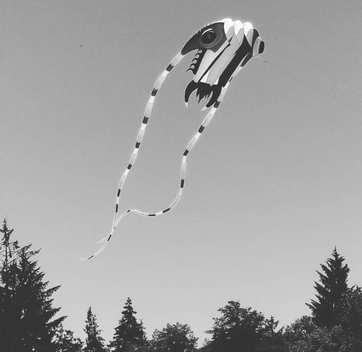 rustyshhacklfrd's tweet photo. @uforyn “I want to believe” https://t.co/crvGDXTEjm