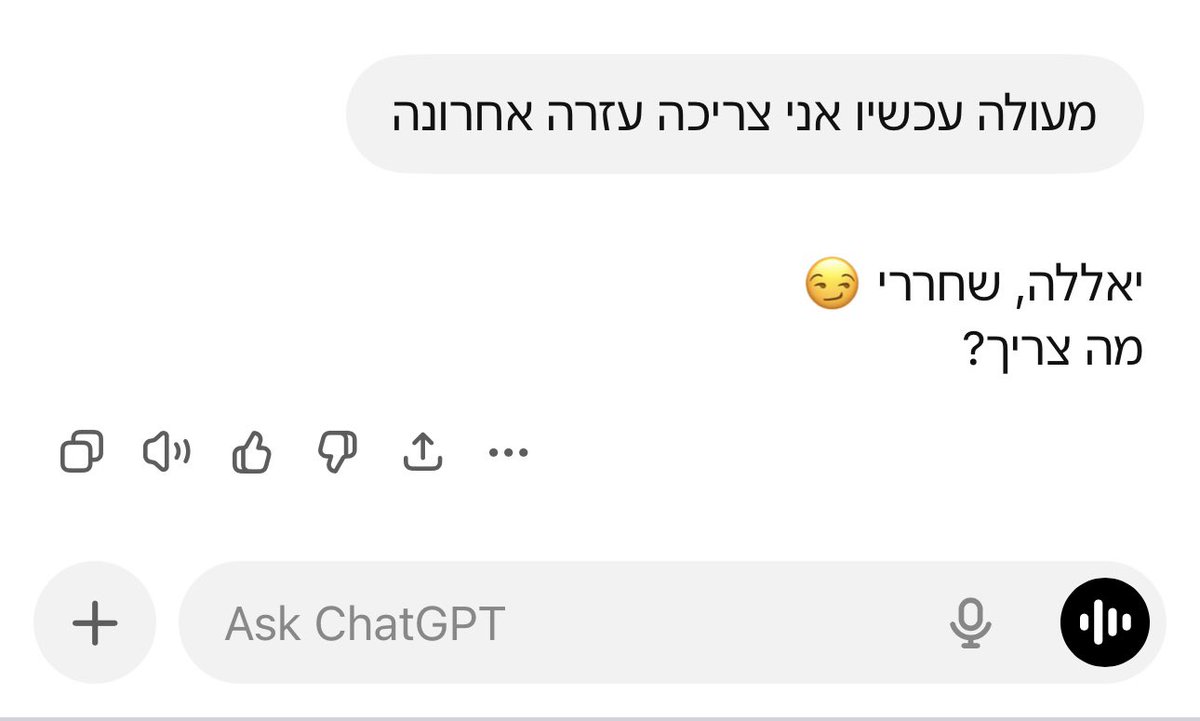 Meitav El tweet media
