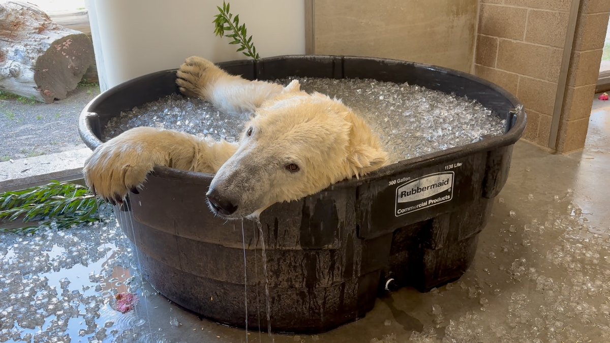 Oregon Zoo tweet media