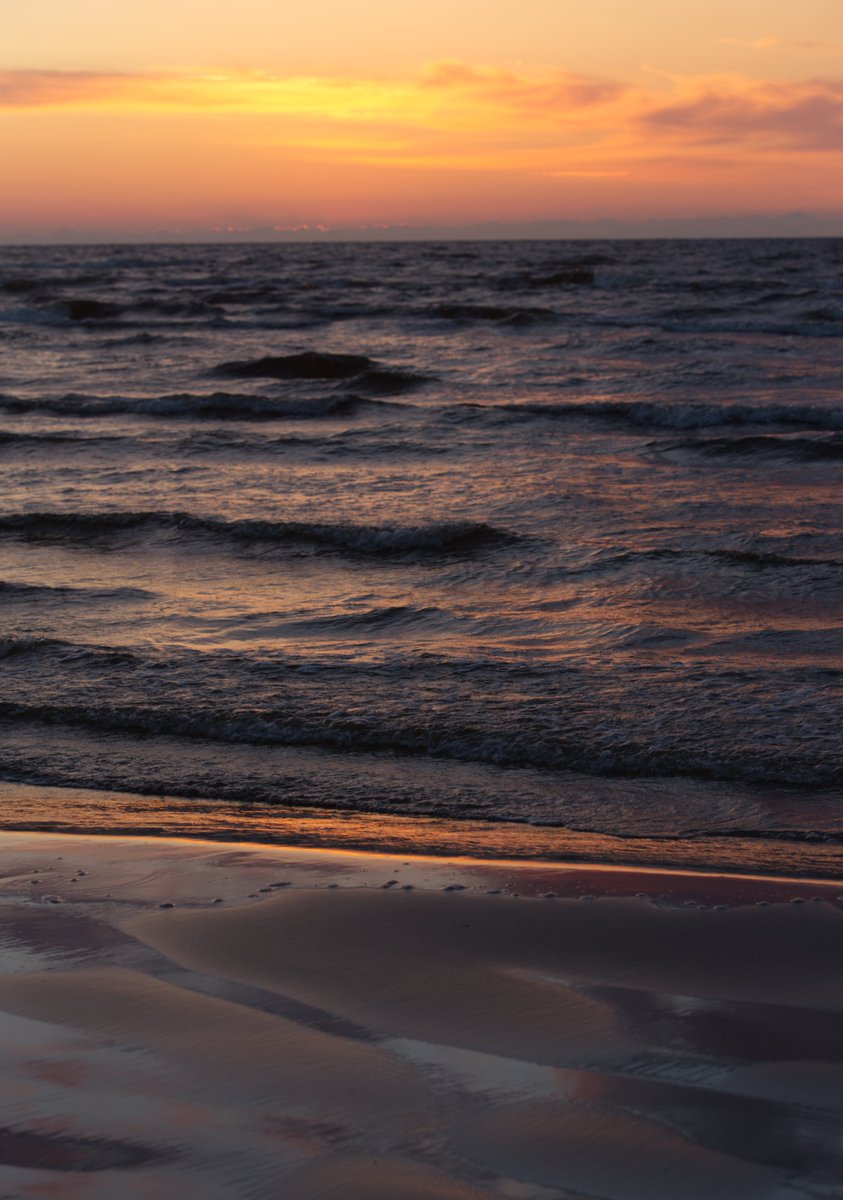 Jacques-Yves Cousteau tweet media