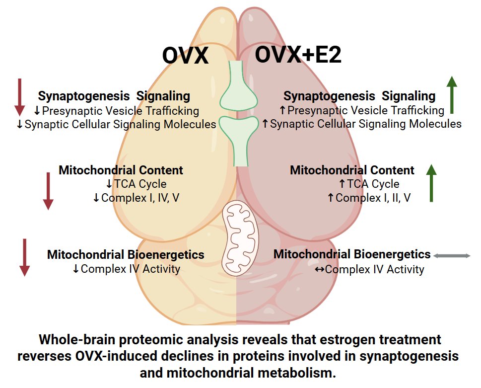 AJP-Regulatory, Integrative Comparative Physiology tweet media
