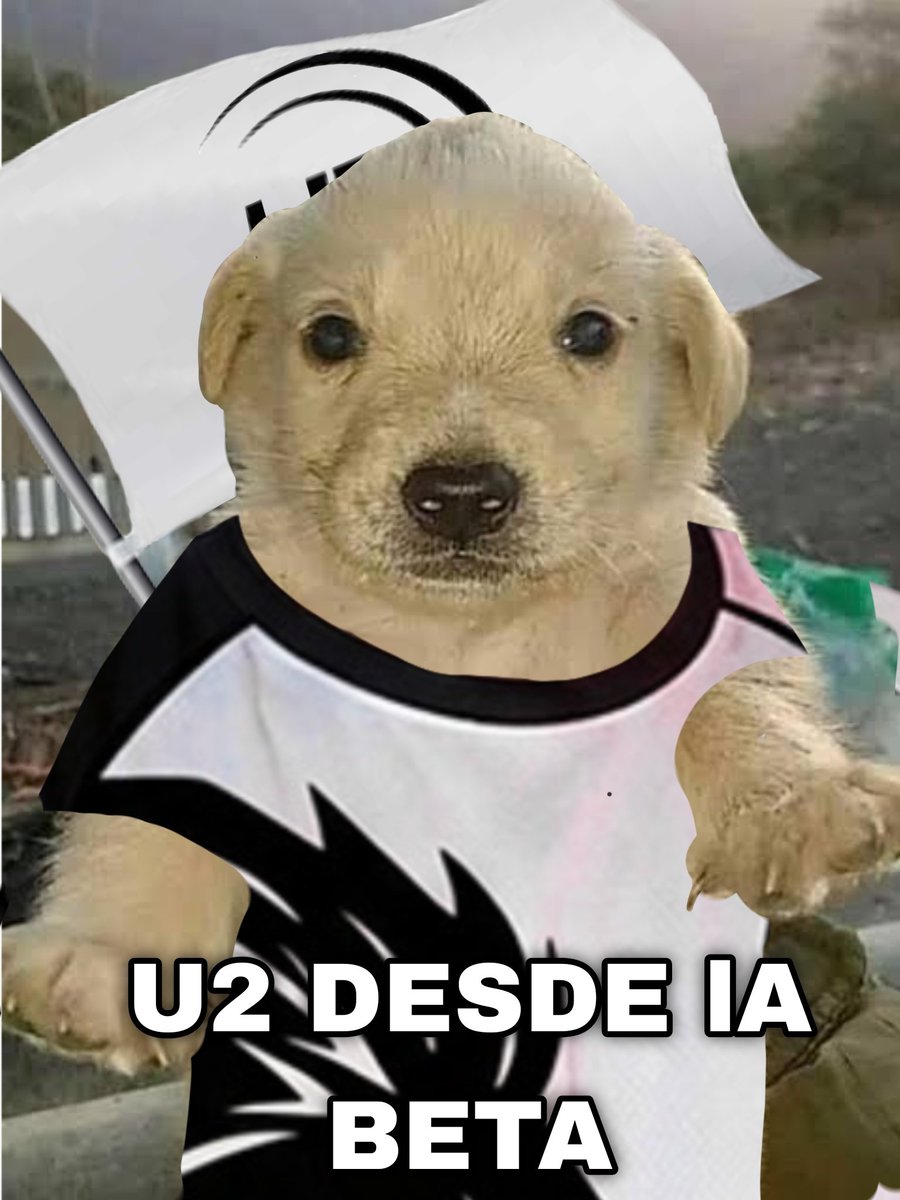 ElMike02 tweet media