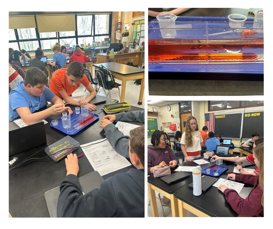 Springfield SD tweet media