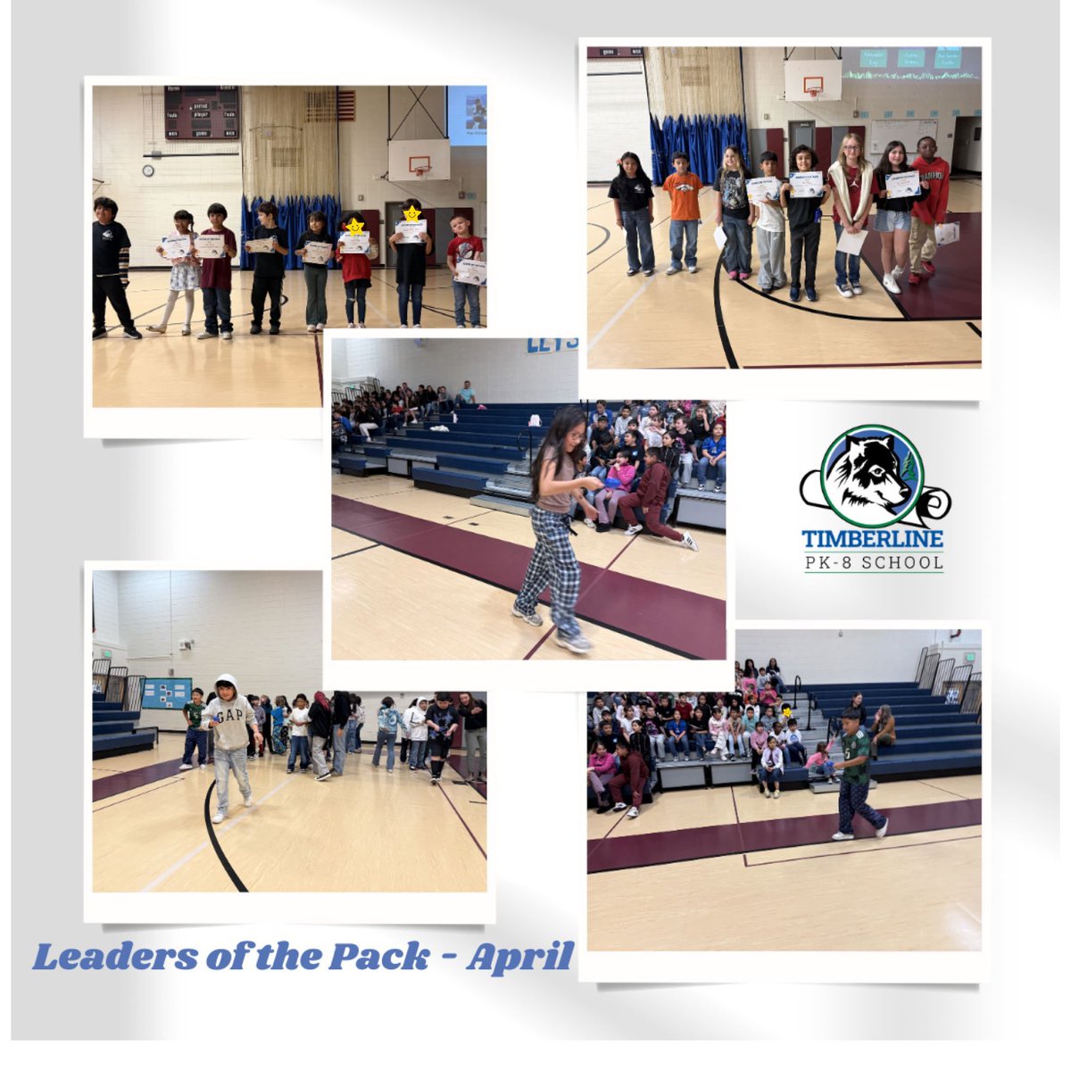 Timberline PK8 tweet media