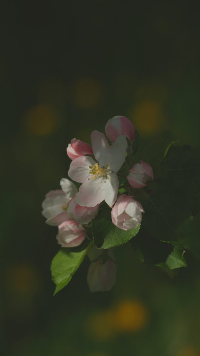 K375 Design Team (@k375designteam) on Twitter photo 