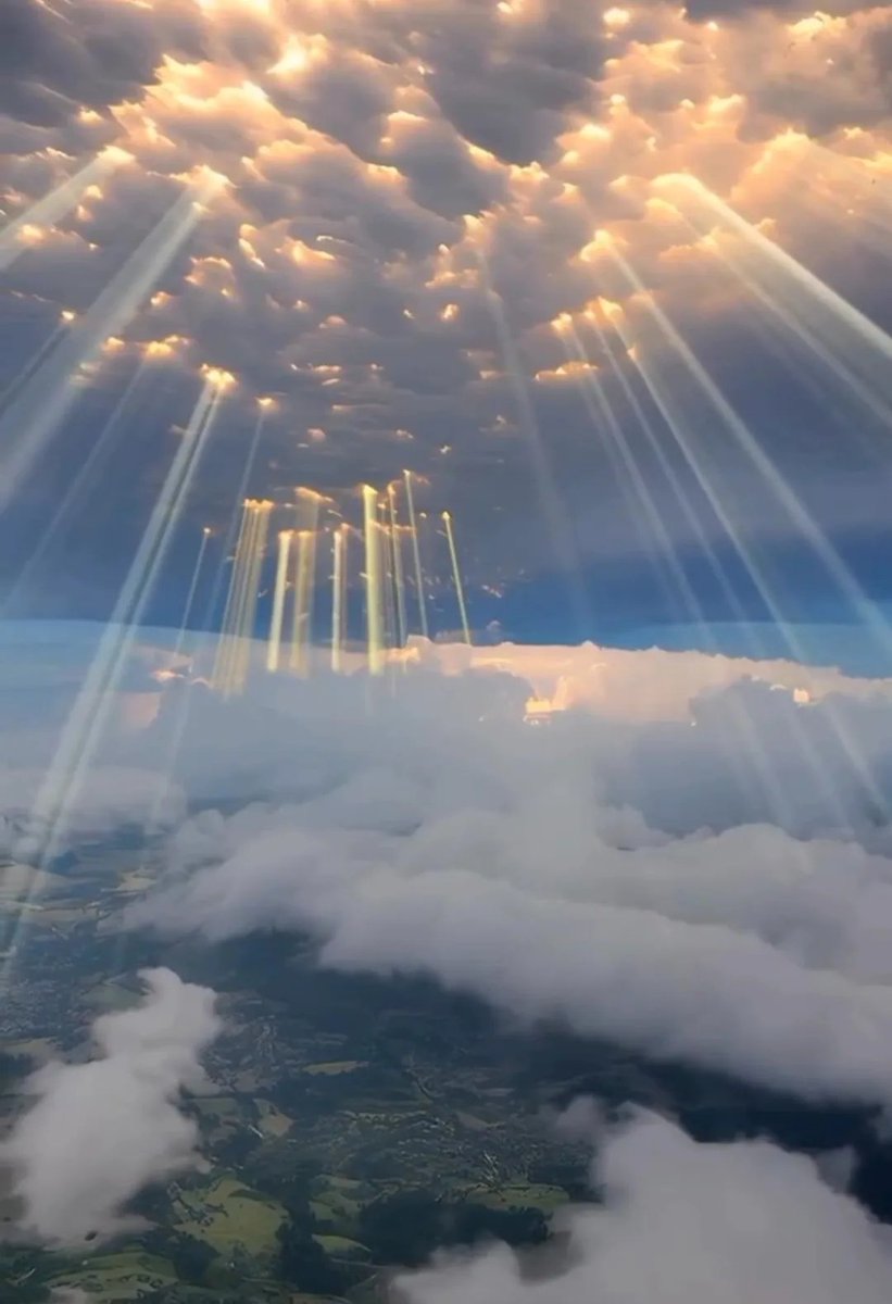 𝑙𝑦𝑟𝑎 tweet media