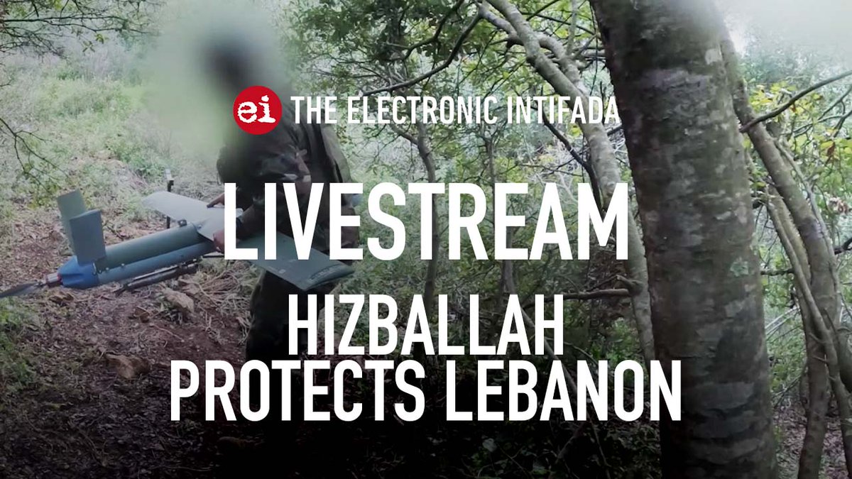 Electronic Intifada tweet media