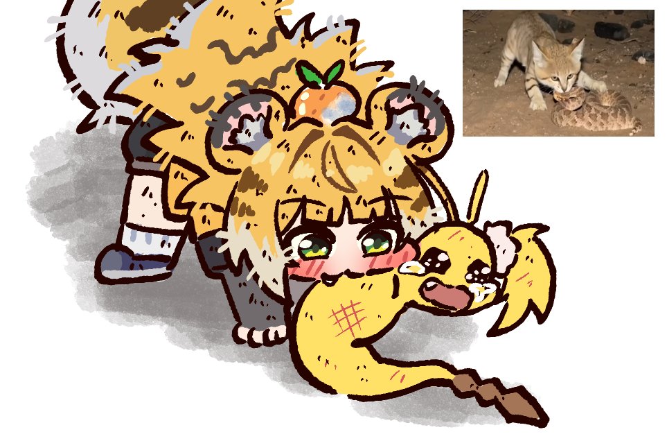 민트라쿤 tweet media