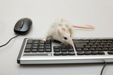 Inconnu_Au_Bataillon tweet media