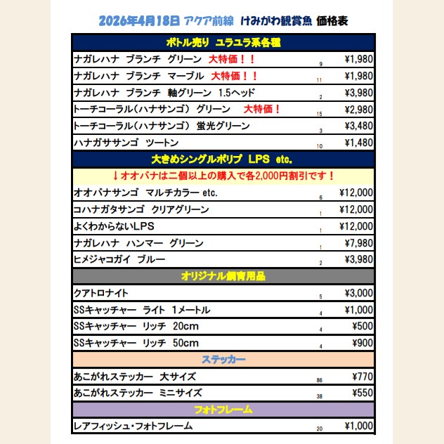 けみがわ観賞魚✨️5/10アクアフェスタ tweet media