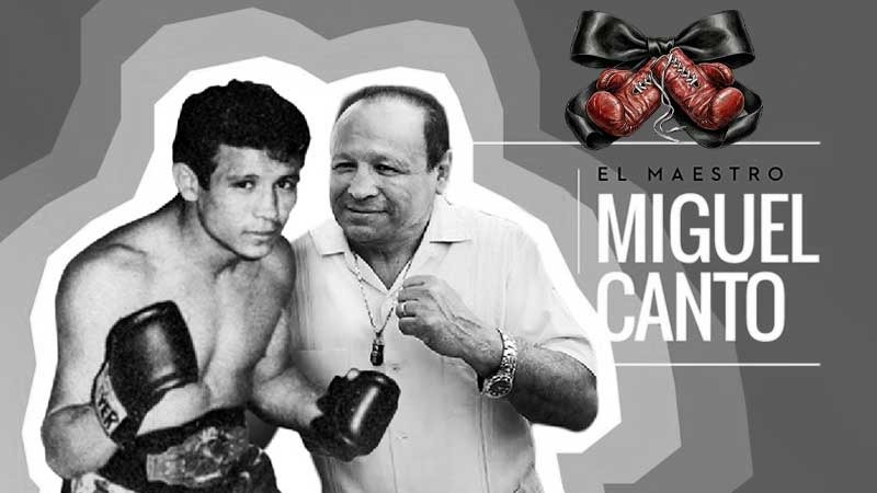 World Boxing Council en Español tweet media