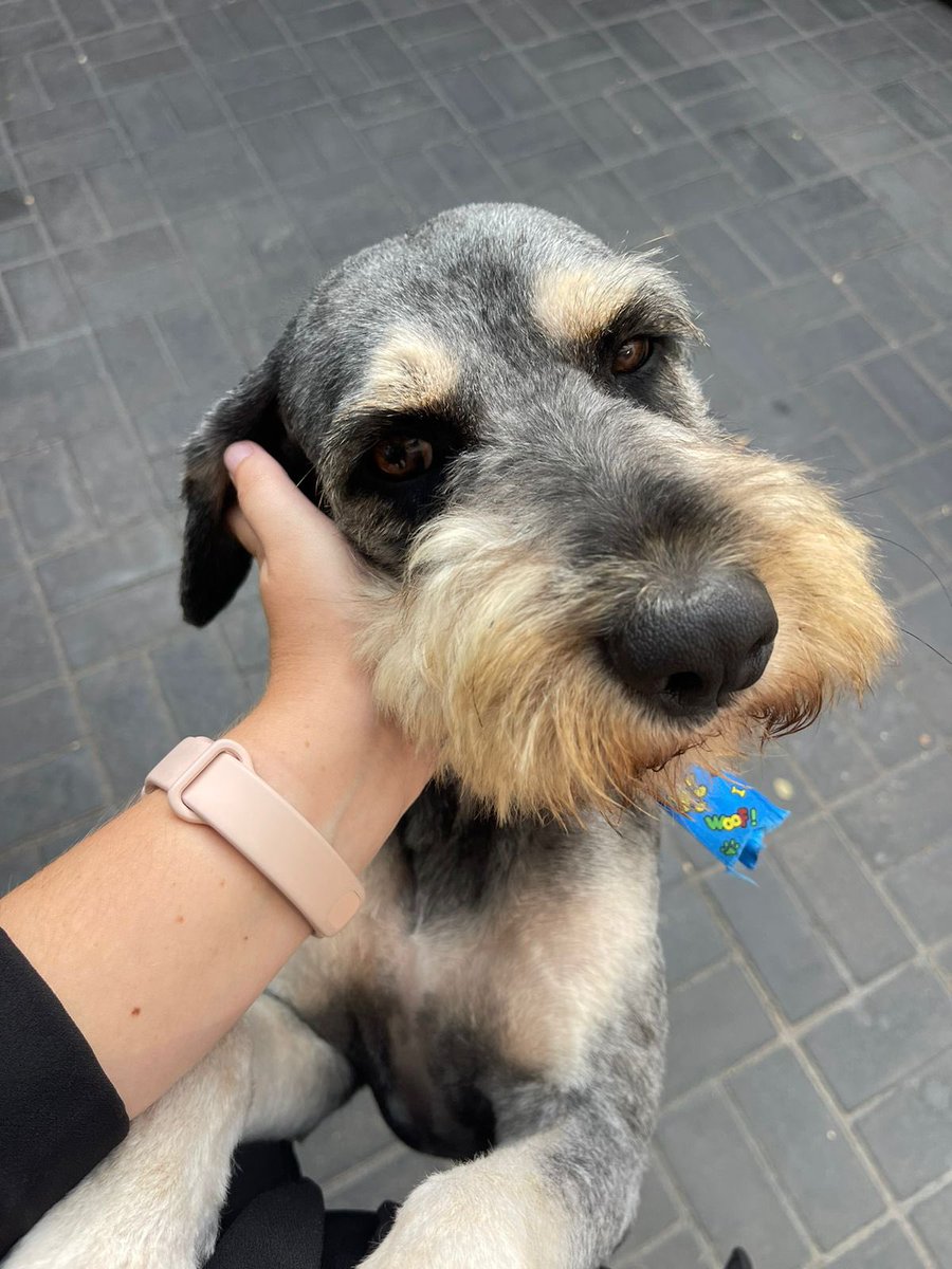 Truchita tweet media