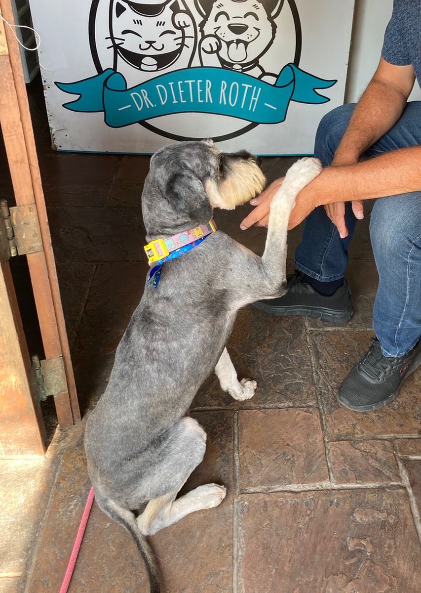 Truchita tweet media