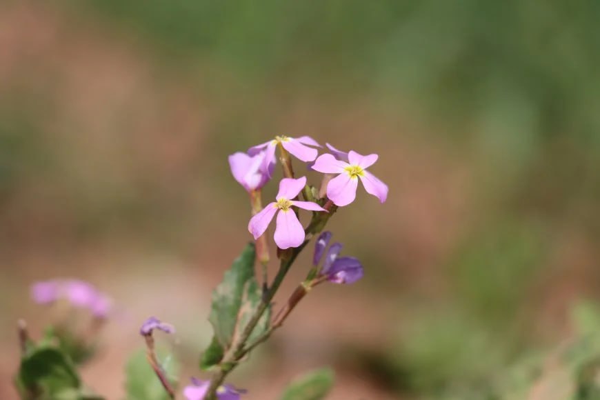 Deniz umut💫yeni hesap tweet media