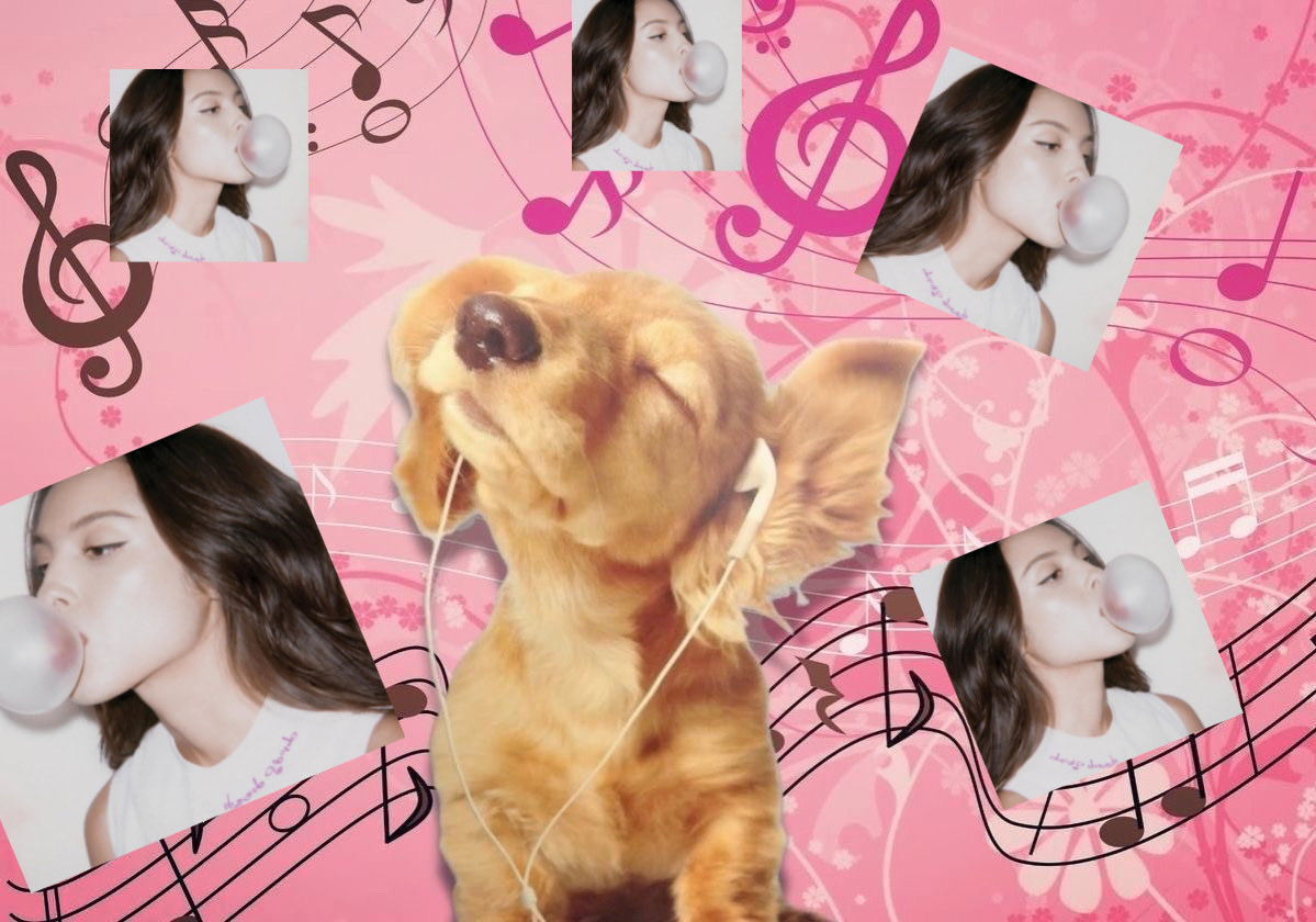 Anabella🩷 tweet media