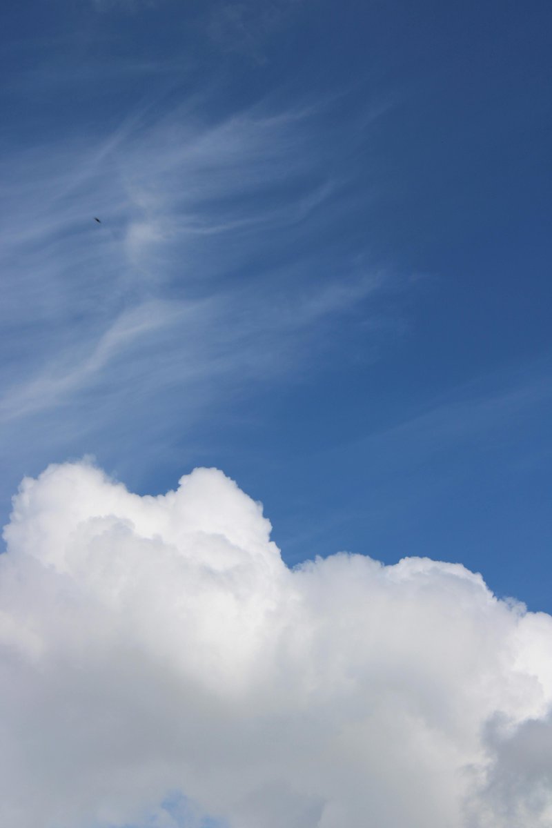 MUHAMMAD MONE LADIH tweet media