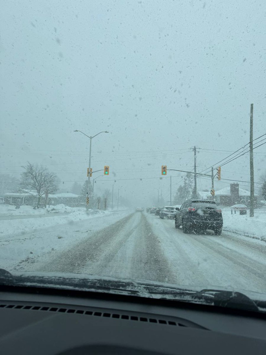 fluffykitten445 tweet media