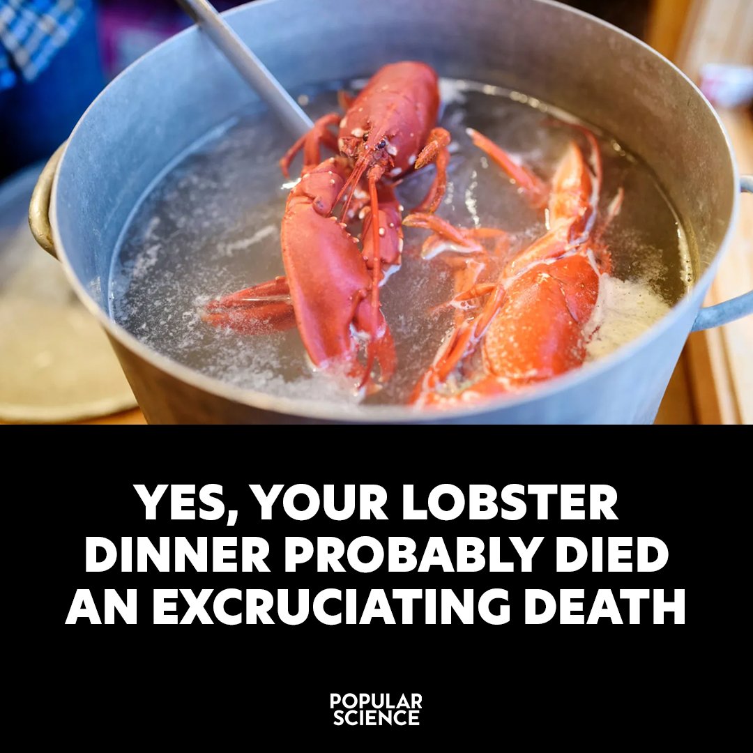 Popular Science tweet media