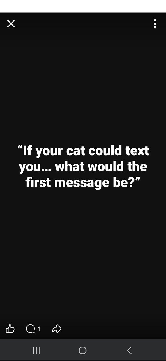 The Irrelevant Fan tweet media