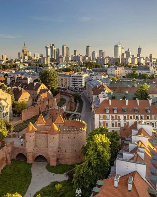 WORLD VIEW tweet media