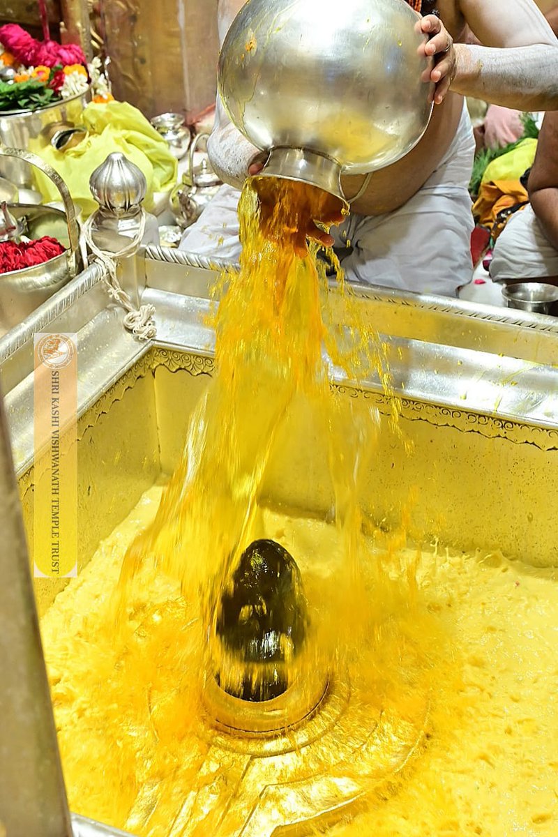 ShriVishwanath's tweet image. श्री काशी विश्वनाथ जी की सप्तऋषि आरती I
#kashivishwanath #kashi #hindu #sanatandharm