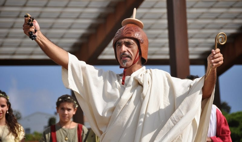 Dolor Tectus tweet media