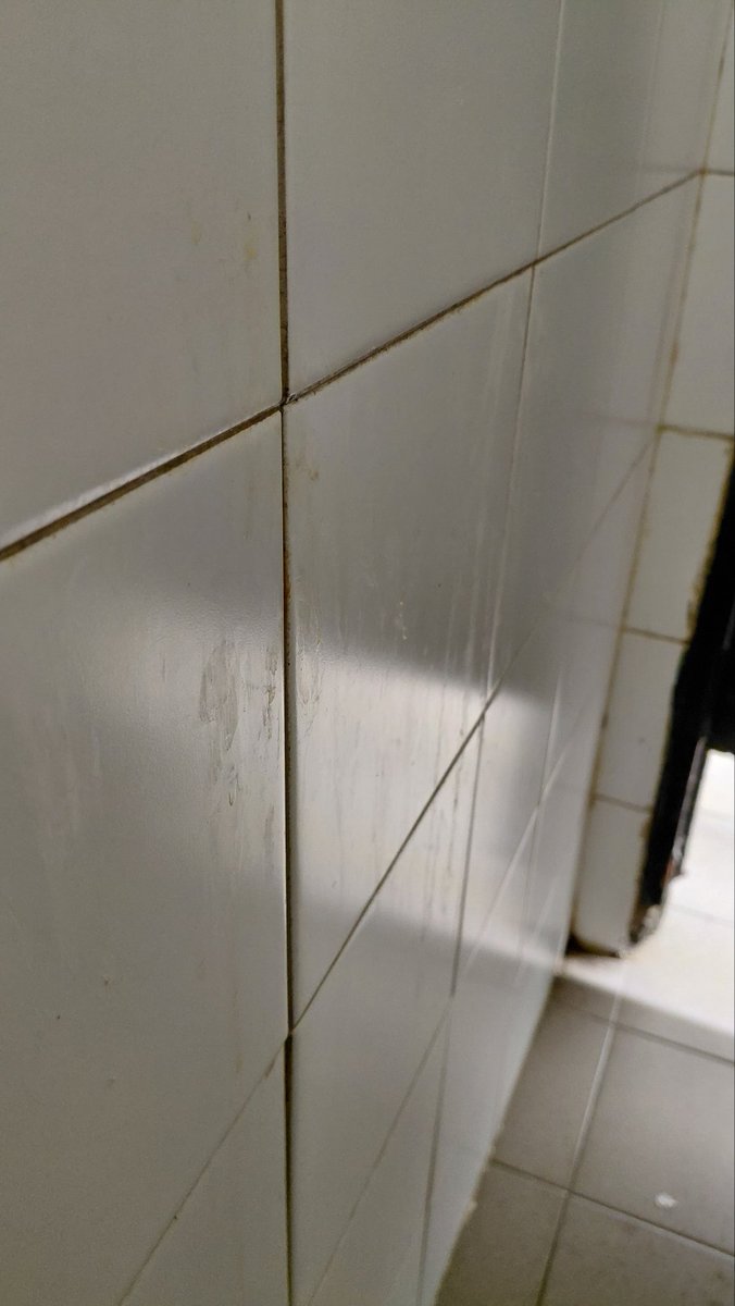 Me causa curiosidad si las paredes de los baños de empleados del trabajo están así por mocos o mecos... ustedes que dicen?