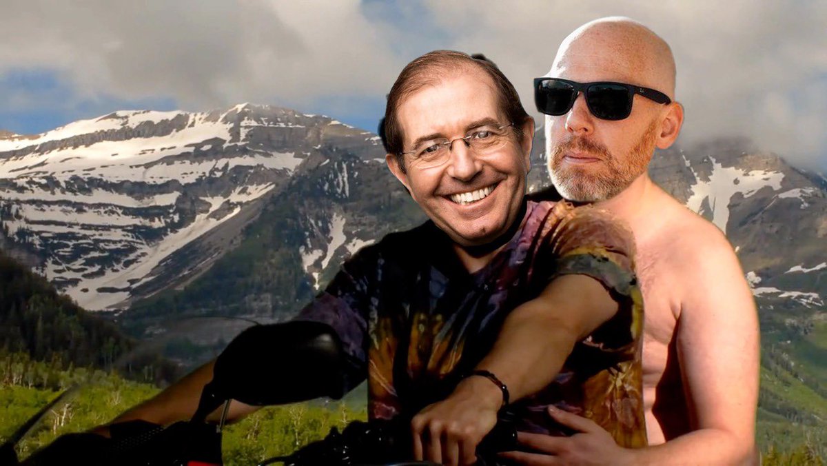 J Hole 🚽 tweet media