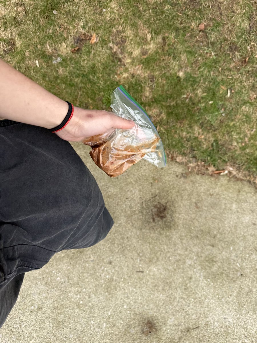 Juniper (edtwt, ifb!!) tweet media