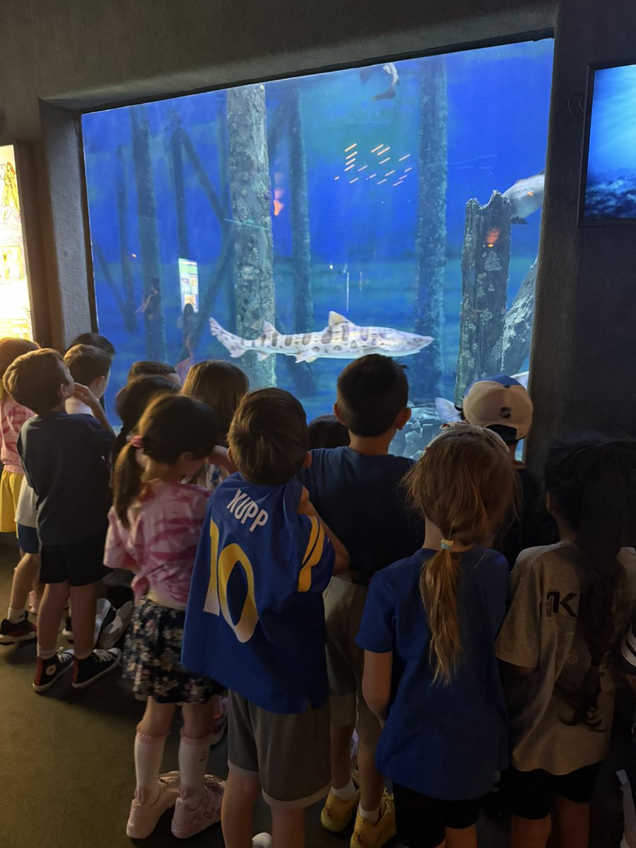 ConoverPrimary's tweet photo. First graders had a perfect day to visit Jenkinson’s Aquarium! @CNSchools @EricaReynolds00 @Colts_Neck_PTO https://t.co/7I1TbRDx7t