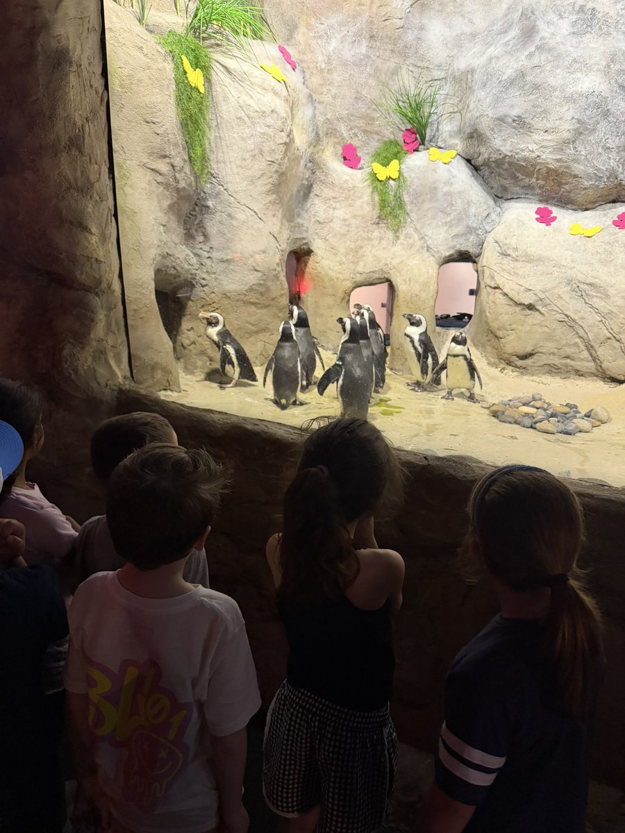 ConoverPrimary's tweet photo. First graders had a perfect day to visit Jenkinson’s Aquarium! @CNSchools @EricaReynolds00 @Colts_Neck_PTO https://t.co/7I1TbRDx7t