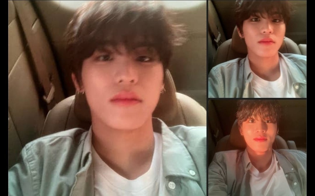 div 🪱 tweet media