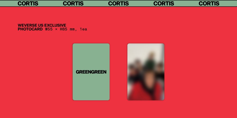 jac 🐛 tweet media