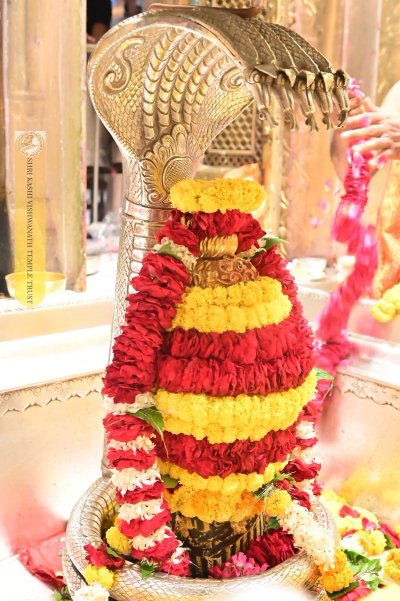 ShriVishwanath's tweet image. श्री काशी विश्वनाथ जी की श्रृंगार आरती I
#kashivishwanath #kashi #hindu #sanatandharm