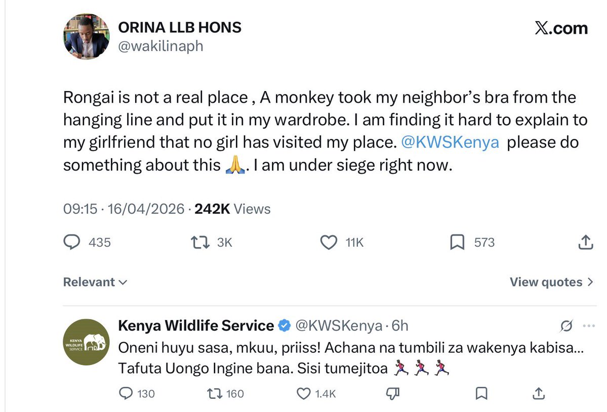 Donald B Kipkorir tweet media