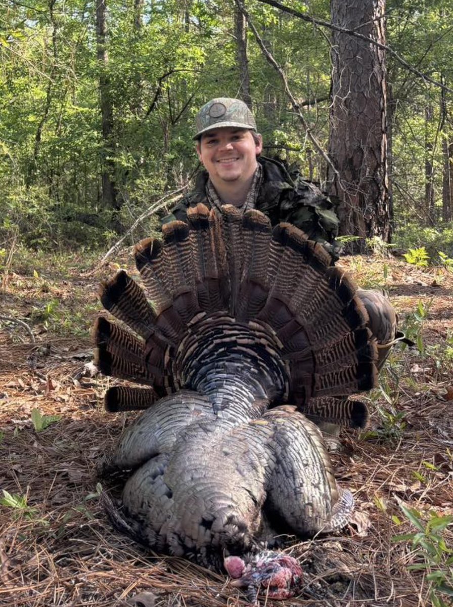 Turkeys for Tomorrow tweet media