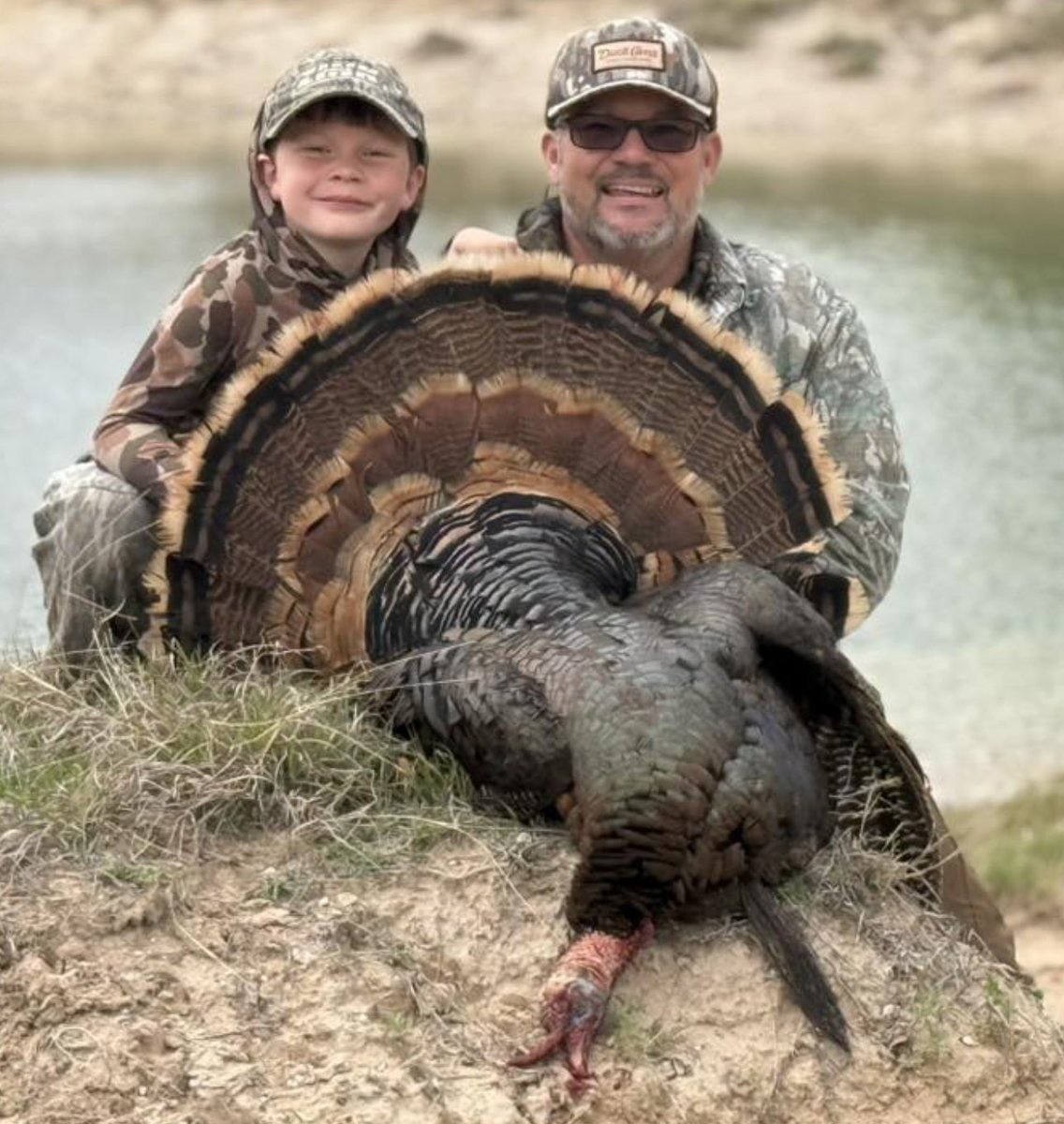 Turkeys for Tomorrow tweet media