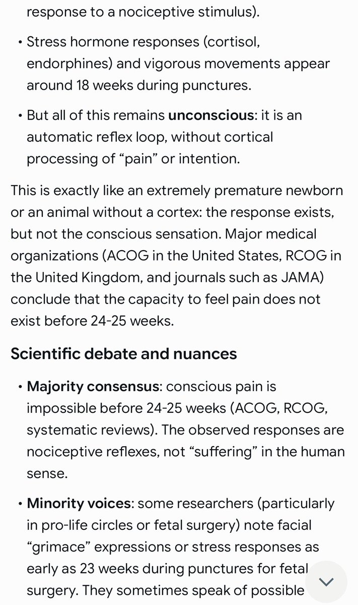 Martin Bauflert tweet media