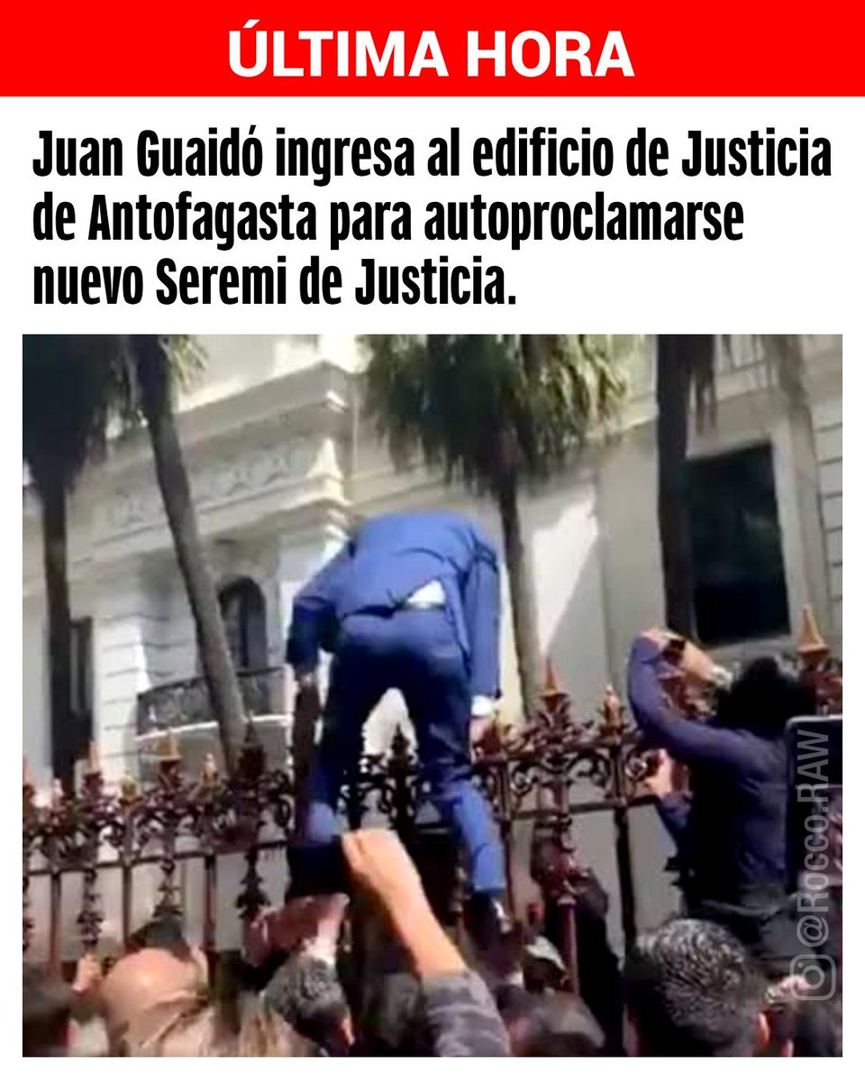 🖼️MUSEO TUITERO tweet media