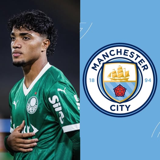 🇧🇷 ⭐️⭐️⭐️⭐️⭐️ 🇧🇷 الكرة البرازيلية™ tweet media