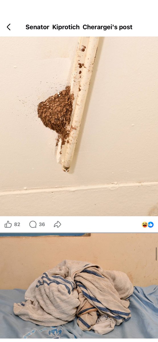 M O I B E N S H I R E tweet media