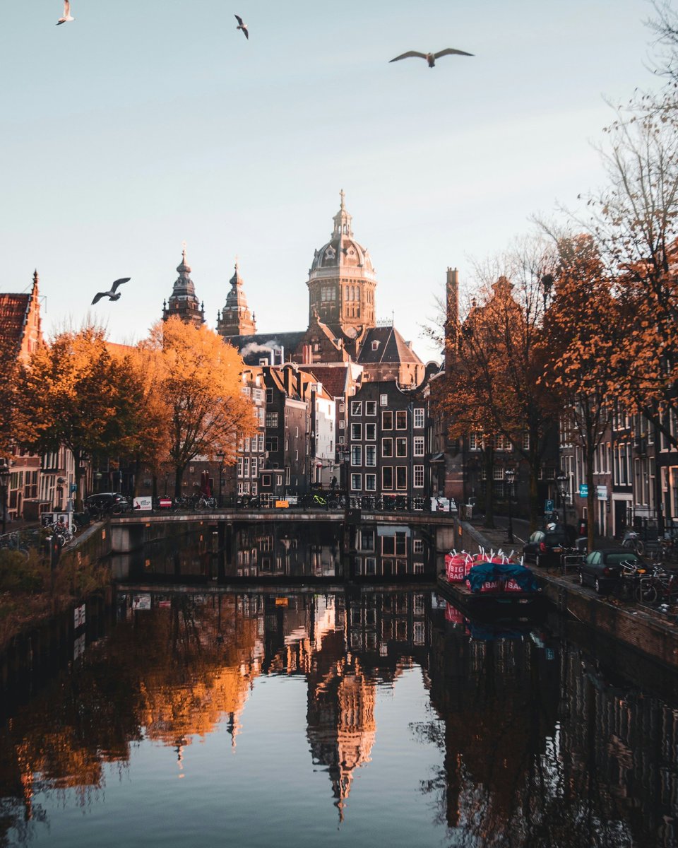 GlobalGoodNews tweet media