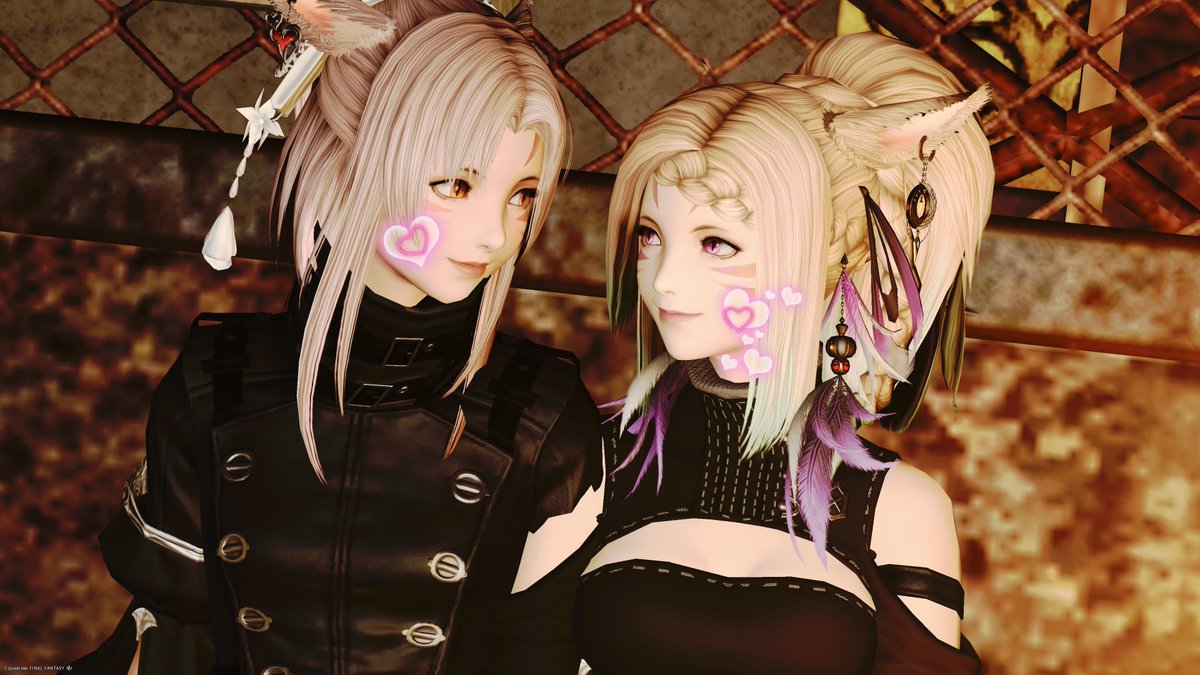 かめ⌘🦄 tweet media