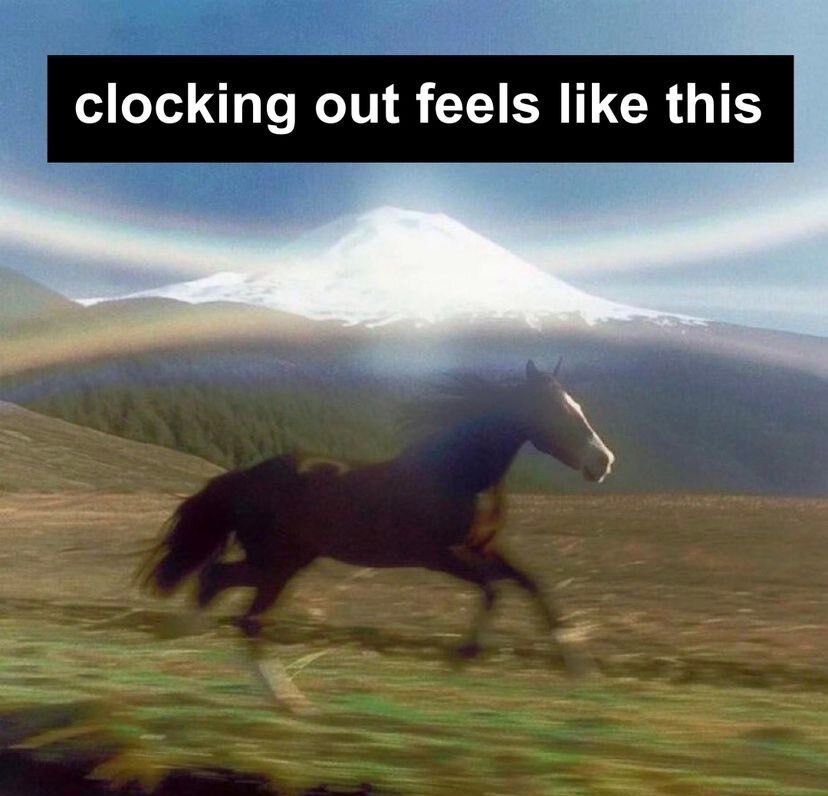 Novelle art. tweet media