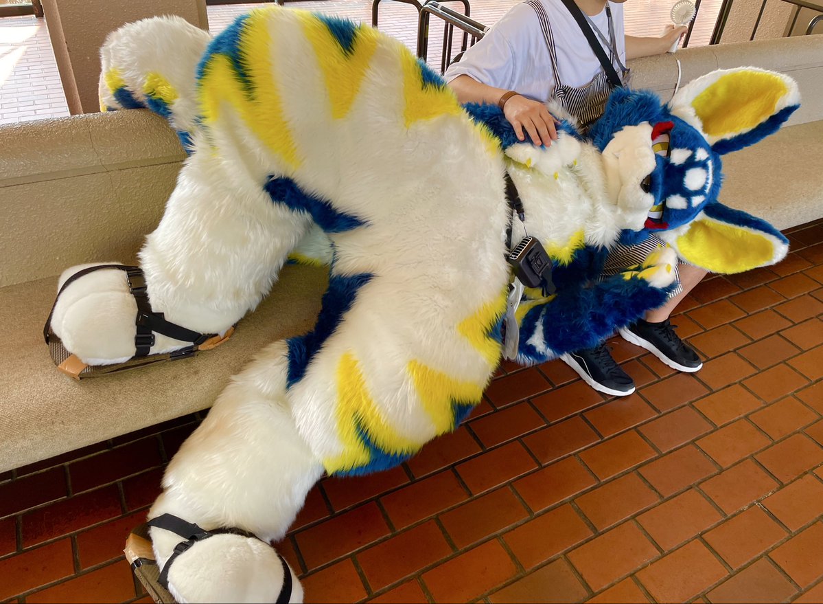 ハムちゃん tweet media