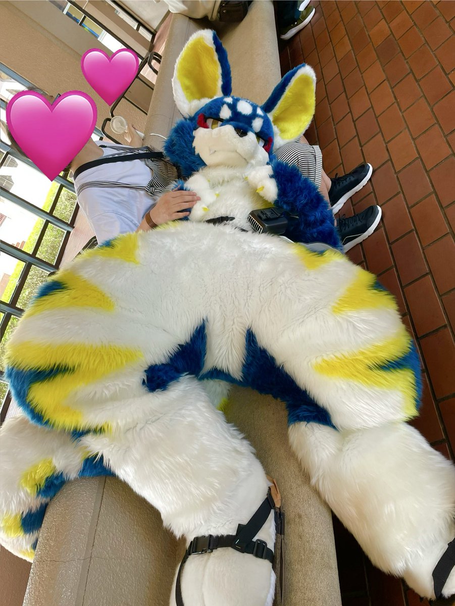 ハムちゃん tweet media