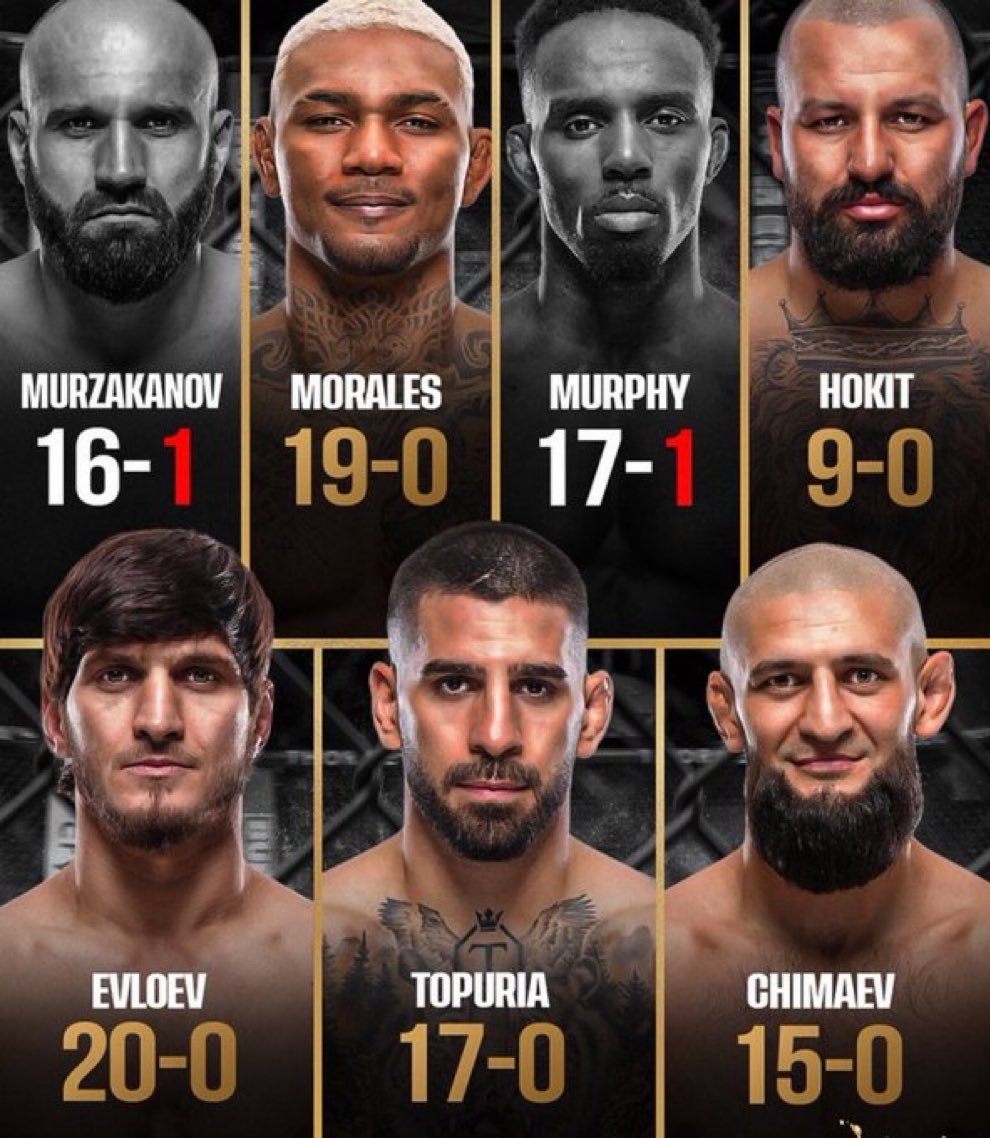 José Louis tweet media