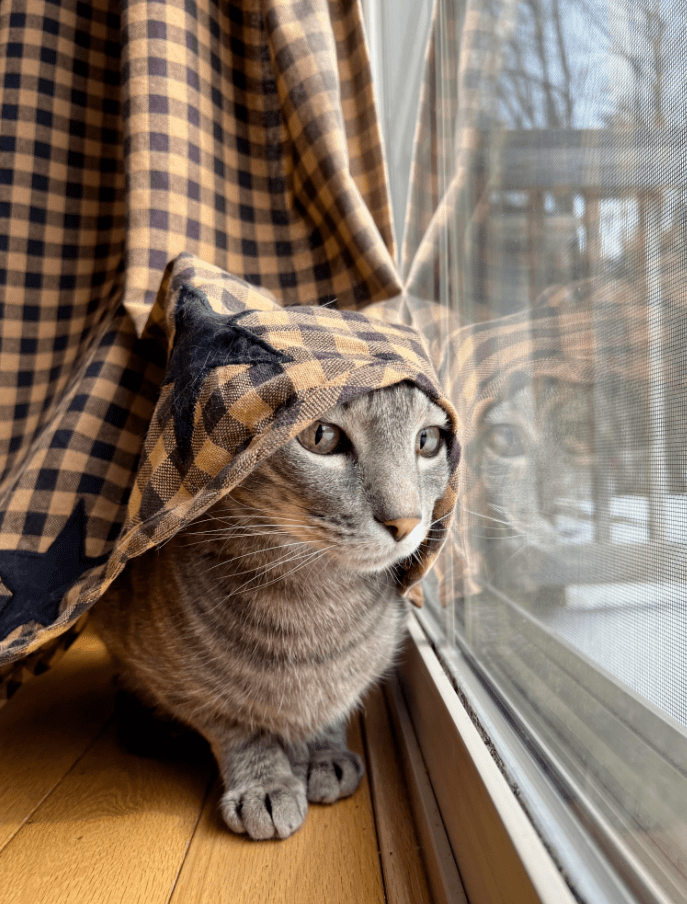 Jemma McDonald tweet media