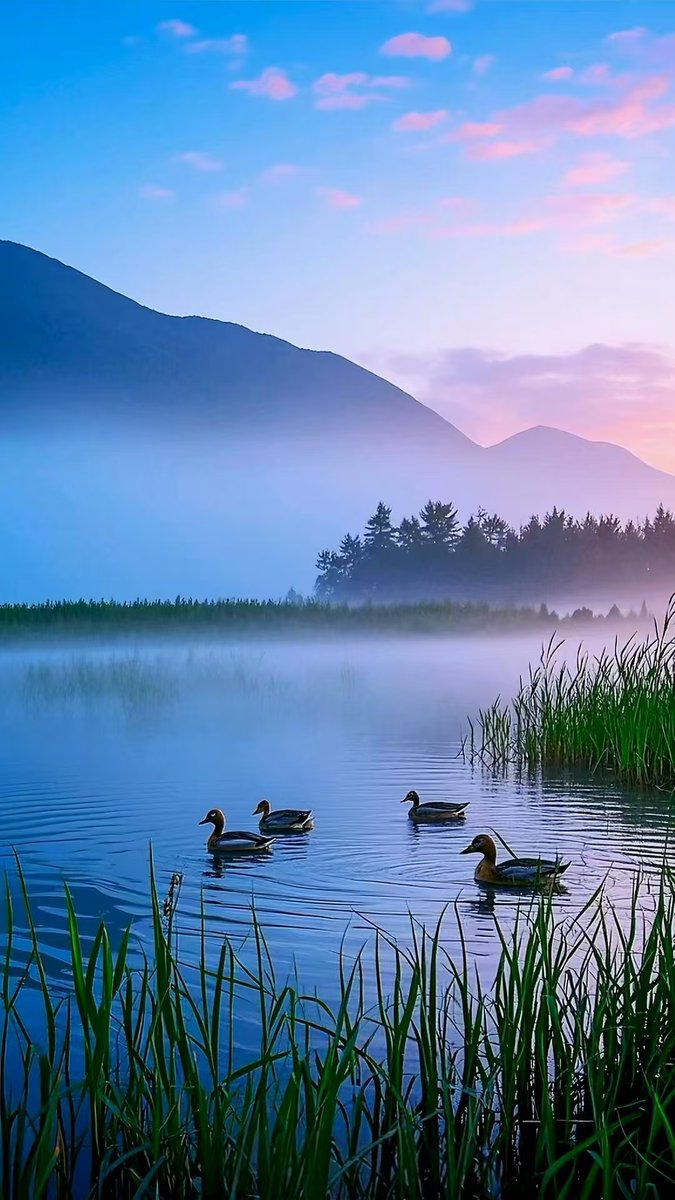 AEGIS AI tweet media