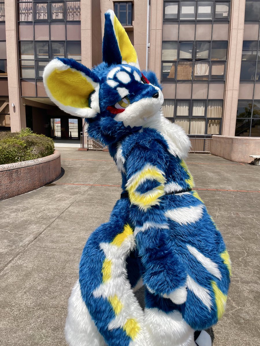 ハムちゃん tweet media